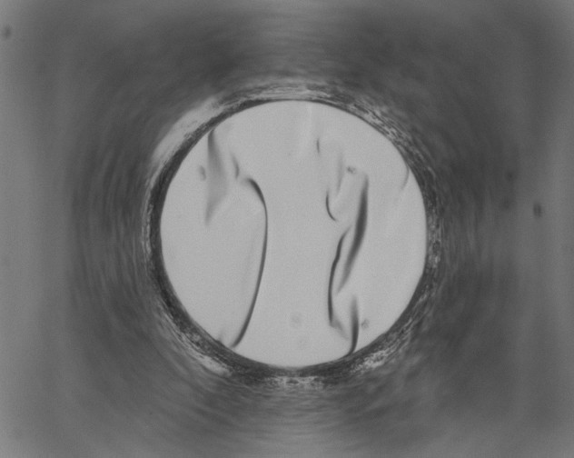 X0000062140296200601060930