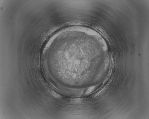 X0000062140301200601060930