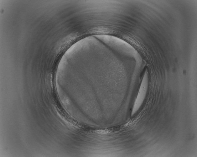 X0000062140302200601060930