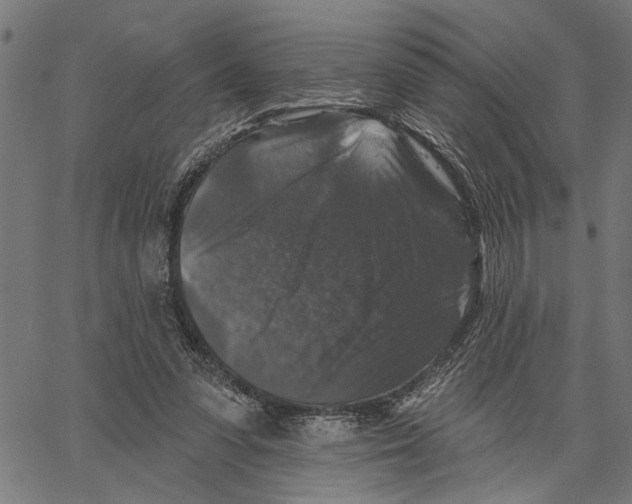 X0000062140303200601060930