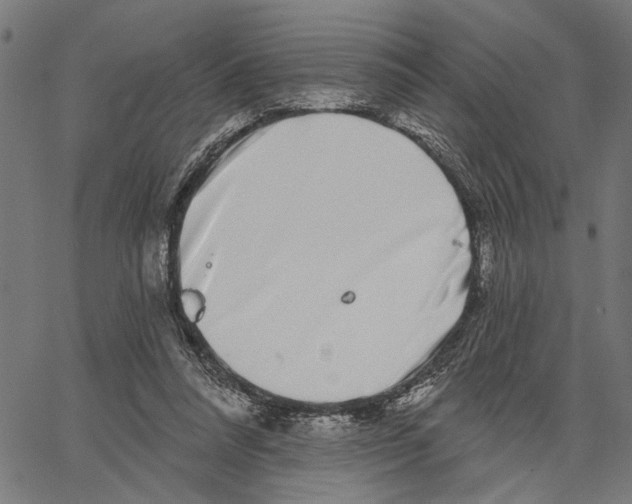 X0000062140304200601060930