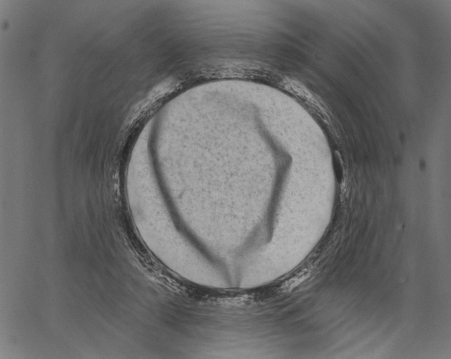 X0000062140306200601060930