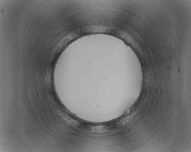 X0000062140309200601060930