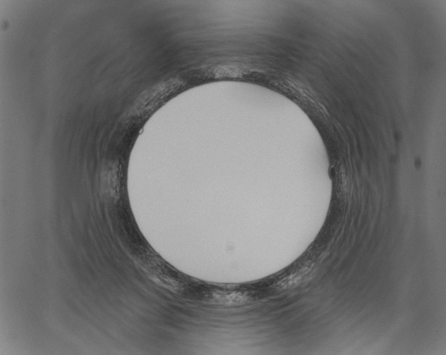 X0000062140311200601060930