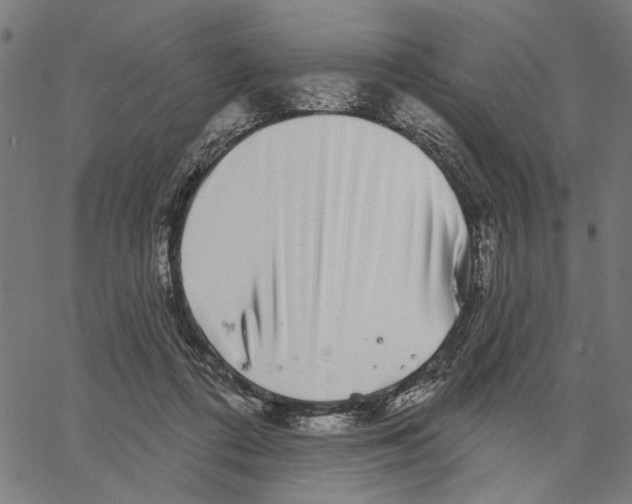 X0000062140312200601060930