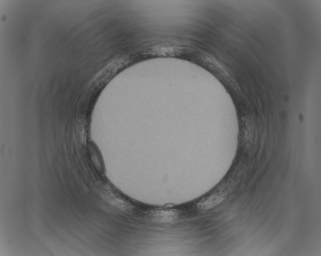 X0000062140313200601060930