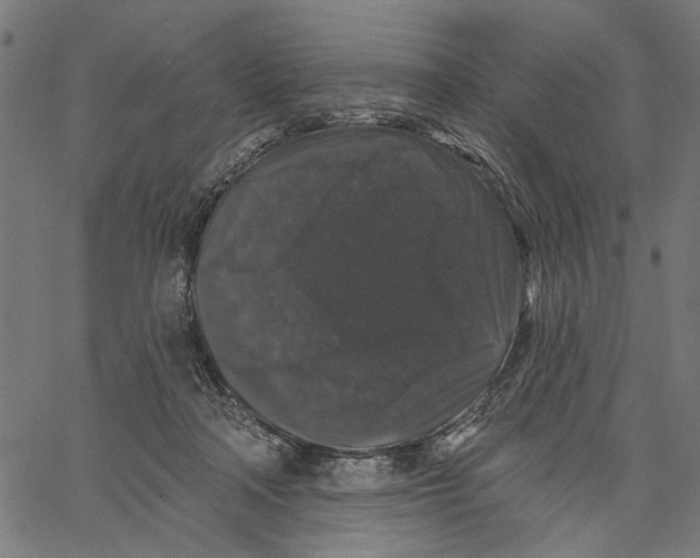 X0000062140314200601060930