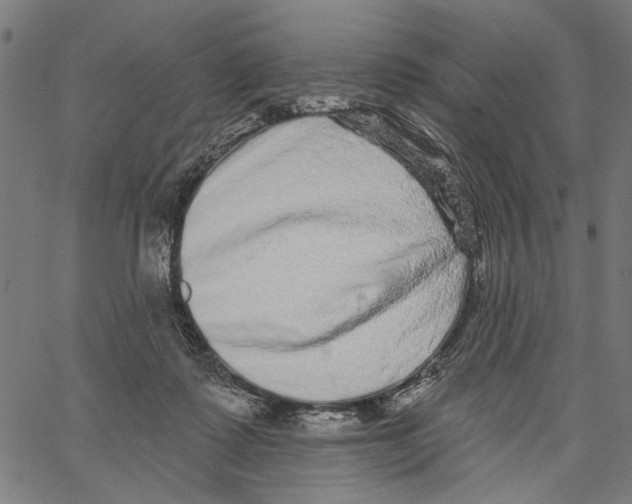 X0000062140315200601060930