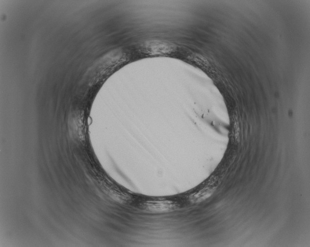 X0000062140316200601060930