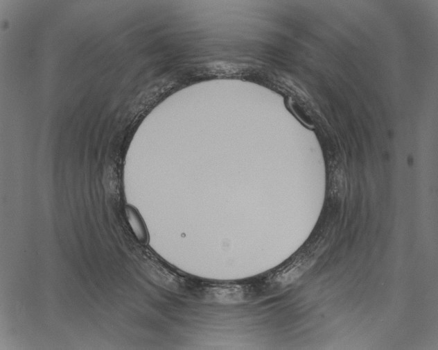 X0000062140317200601060930