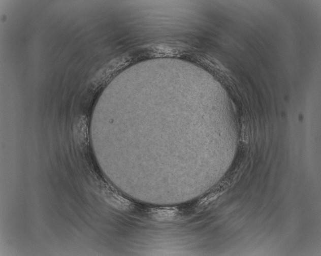 X0000062140318200601060930