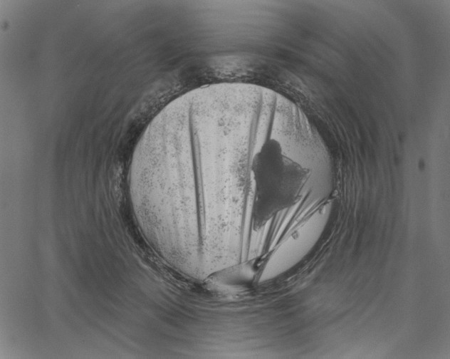 X0000062140319200601060930