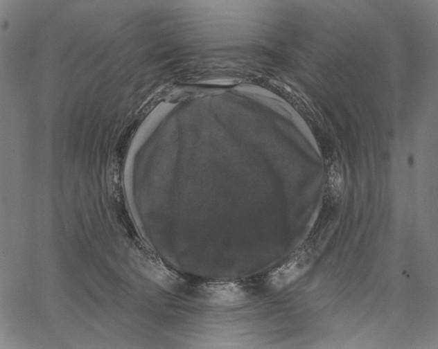 X0000062140322200601060930