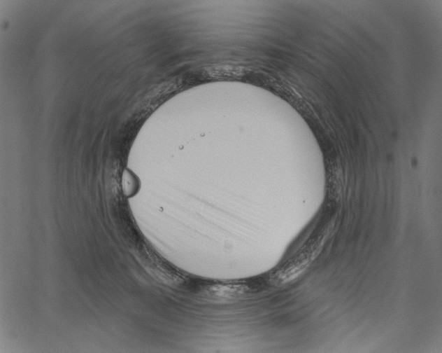 X0000062140323200601060930