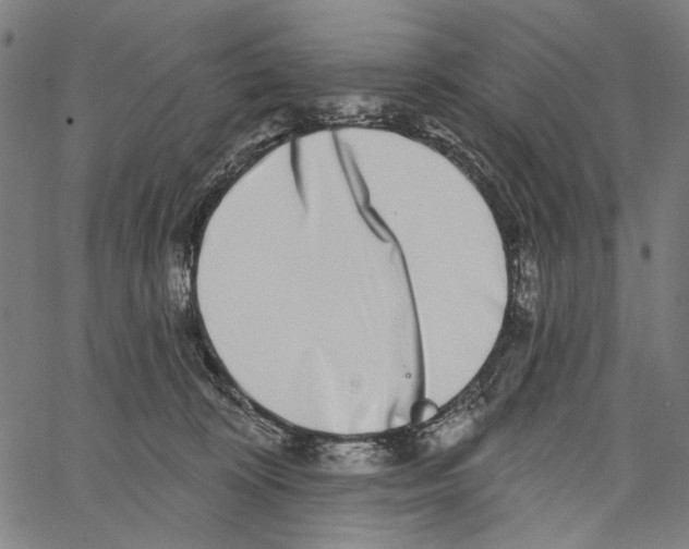 X0000062140324200601060930