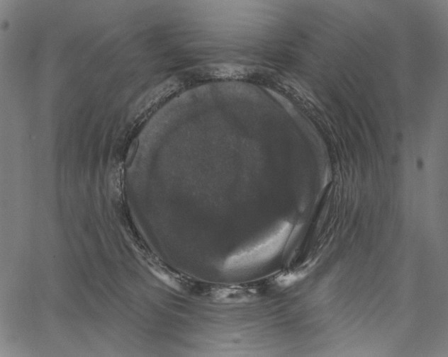 X0000062140325200601060930