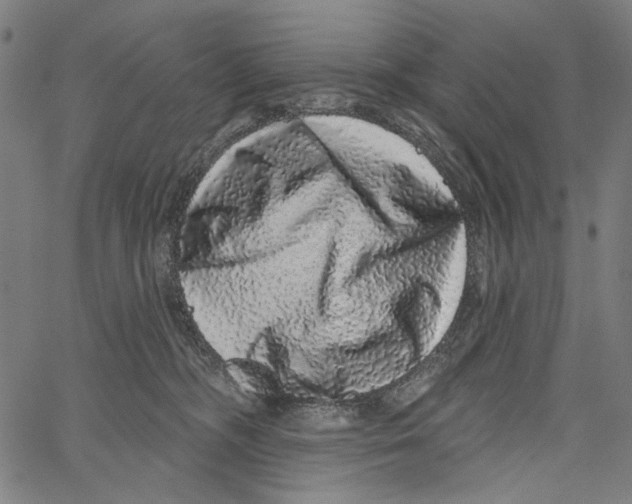 X0000062140326200601060930