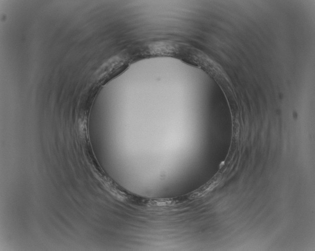 X0000062140329200601060930