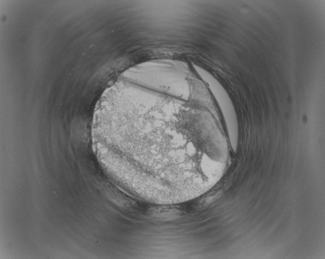 X0000062140331200601060929