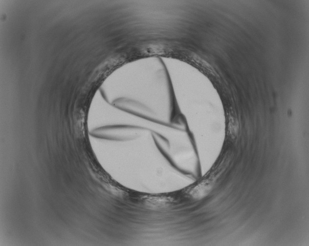 X0000062140332200601060929