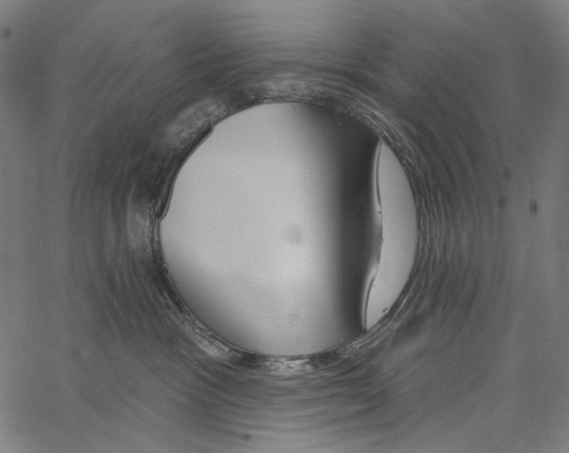 X0000062140333200601060929