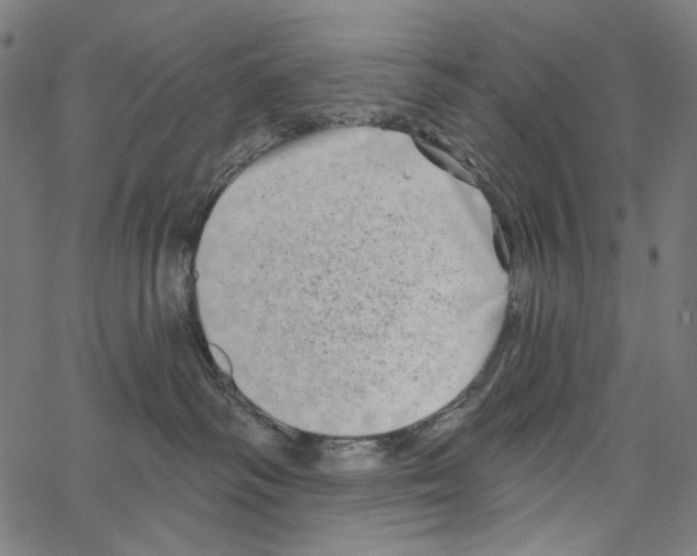 X0000062140334200601060929