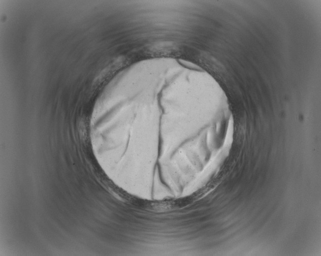 X0000062140335200601060929