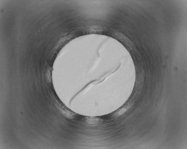 X0000062140336200601060929