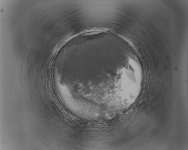 X0000062140337200601060929