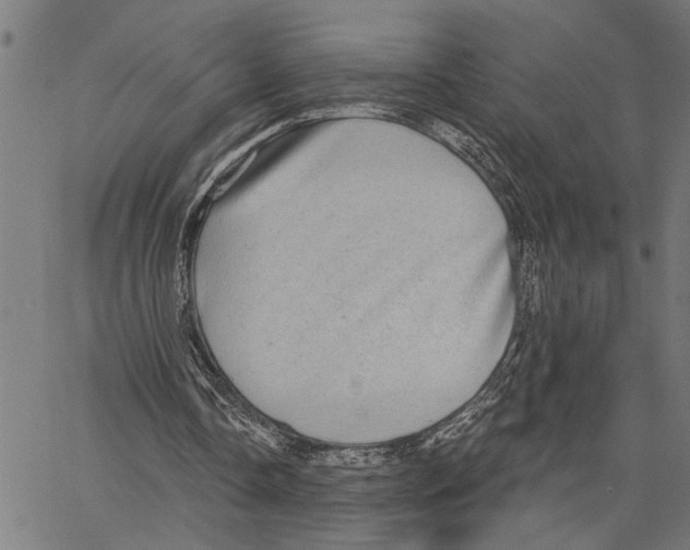 X0000062140338200601060929