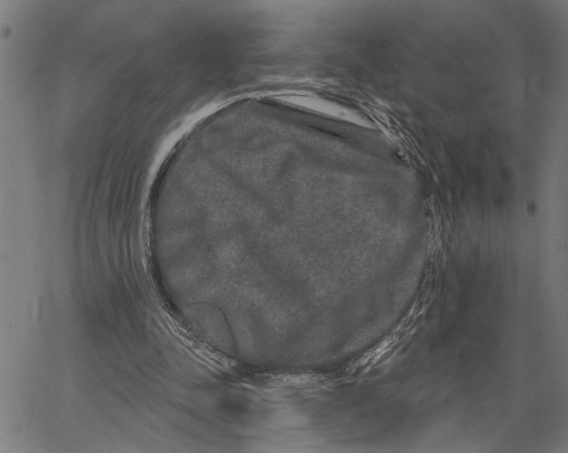 X0000062140342200601060929