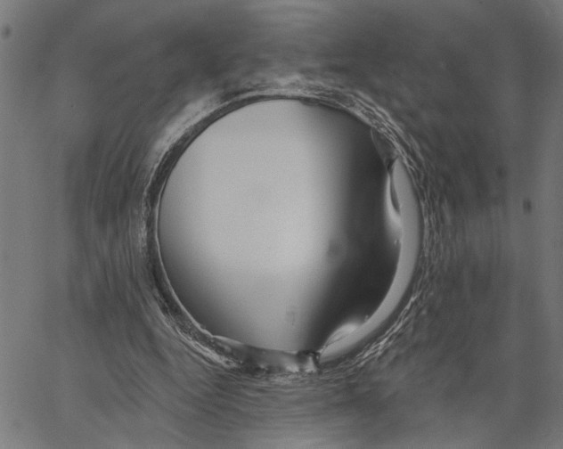 X0000062140344200601060929