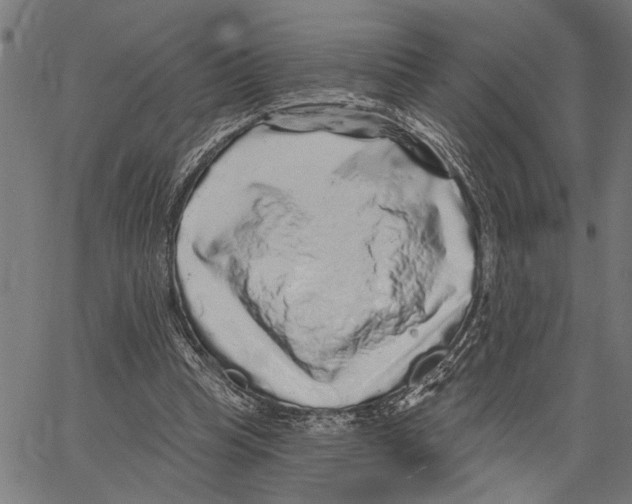 X0000062140345200601060929