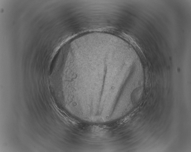 X0000062140346200601060929