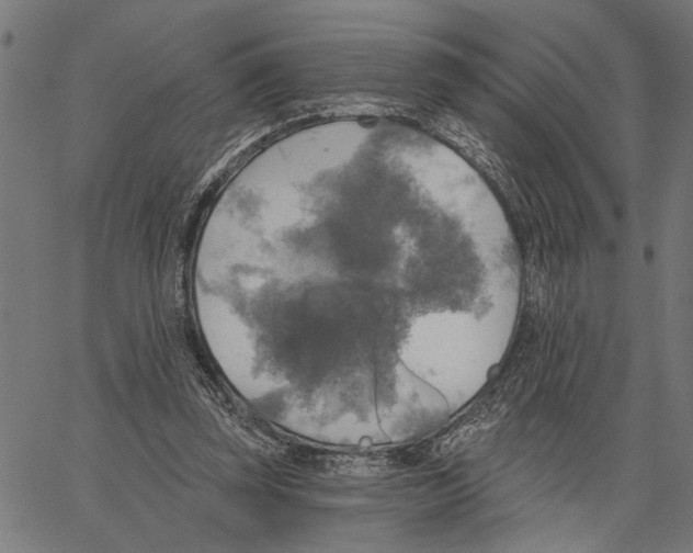 X0000062140347200601060929