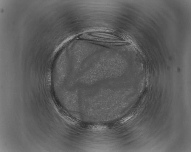 X0000062140348200601060929