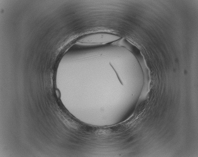 X0000062140350200601060929