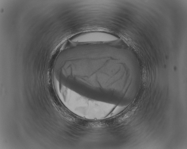 X0000062140351200601060929