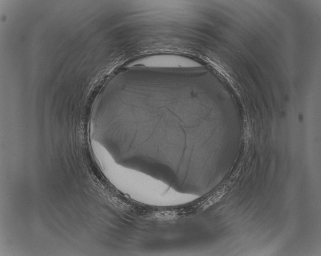 X0000062140353200601060929