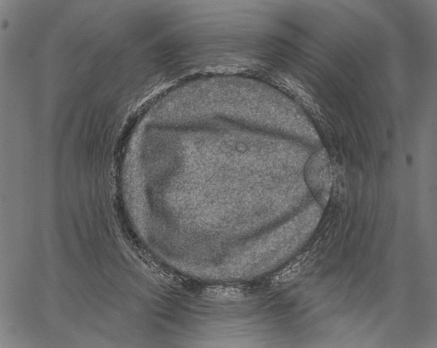 X0000062140354200601060929