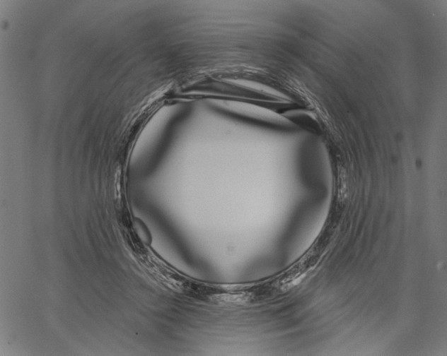 X0000062140356200601060929