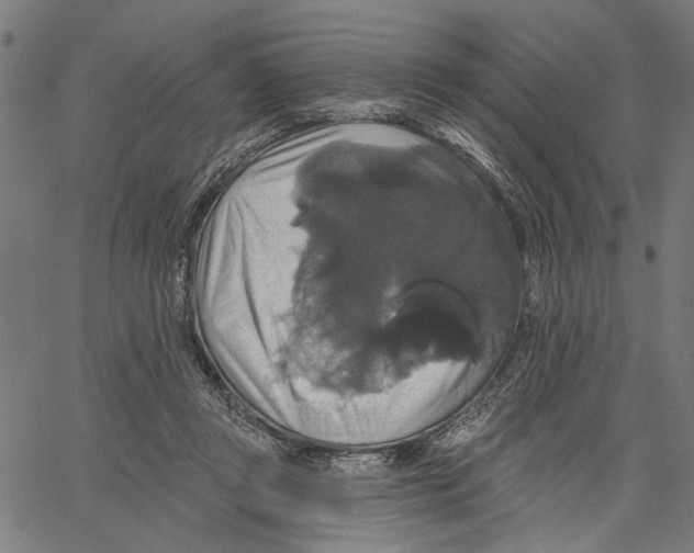 X0000062140357200601060929