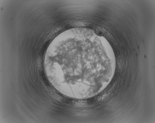 X0000062140359200601060929