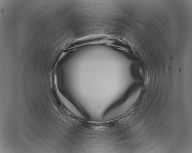 X0000062140360200601060929