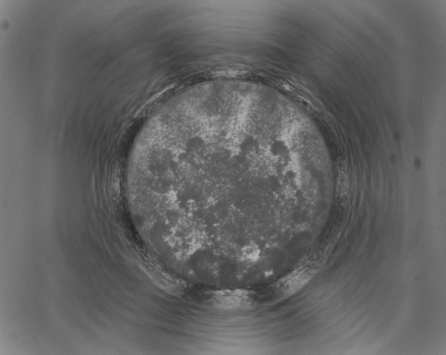 X0000062140363200601060929