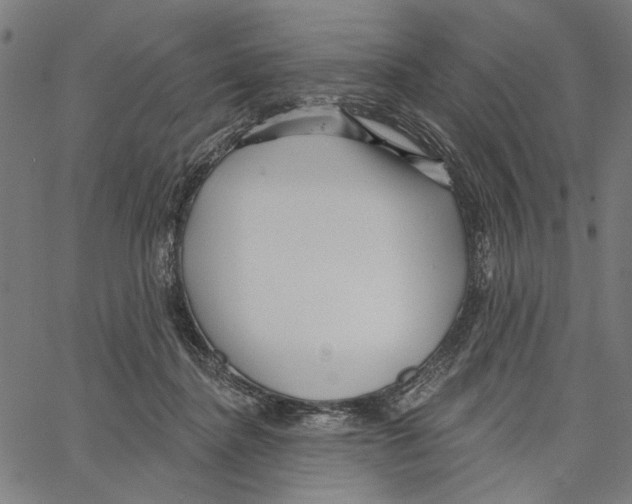 X0000062140364200601060929