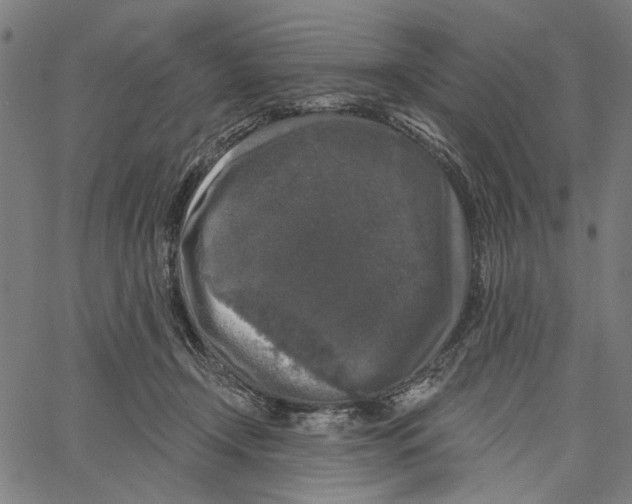 X0000062140366200601060929