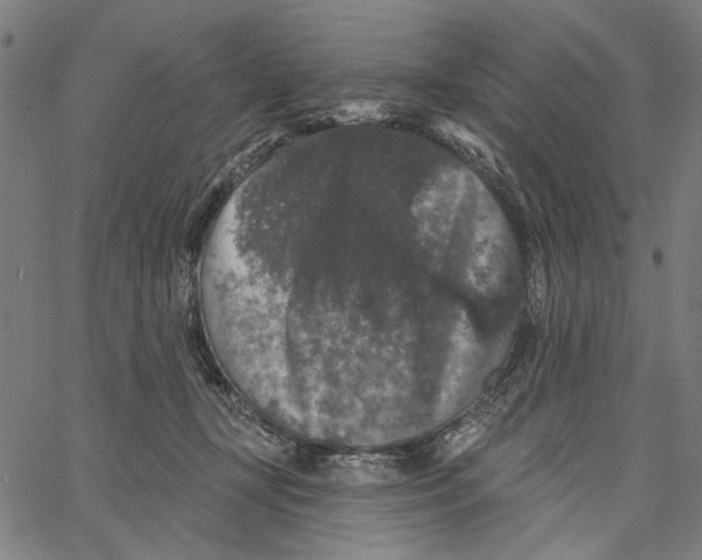 X0000062140367200601060929