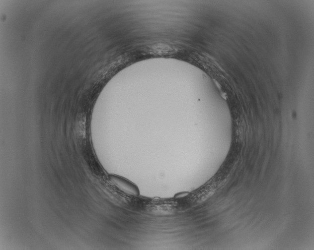 X0000062140368200601060929