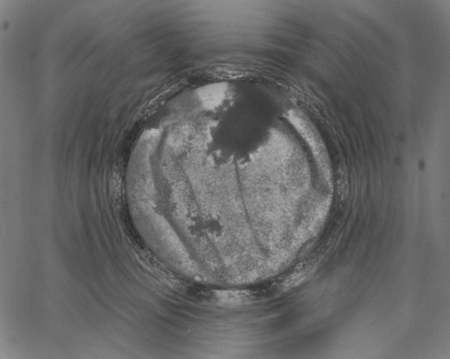 X0000062140371200601060929